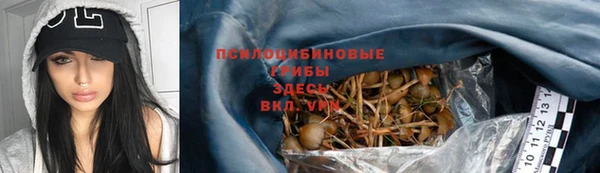 гашик Бронницы