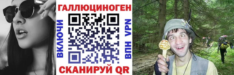 Псилоцибиновые грибы Psilocybine cubensis Кимовск
